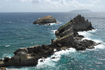 Pointe des Chateaux Guadeloupe (Alexander Mirschel)  Copyright 
Informazioni sulla licenza disponibili sotto 'Prova delle fonti di immagine'