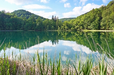 Croatia-00869 - Great Place to Reflect (Dennis Jarvis)  [flickr.com]  CC BY-SA 
Informazioni sulla licenza disponibili sotto 'Prova delle fonti di immagine'