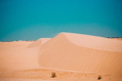 Djerba (Oleg Magni)  [flickr.com]  CC BY-ND 
Informazioni sulla licenza disponibili sotto 'Prova delle fonti di immagine'