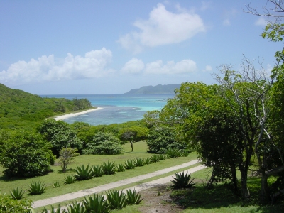 DSC06711, Petit St. Vincent (PSV), Winward Island, The Grenadines, Caribbean (Lyn Gateley)  [flickr.com]  CC BY 
Informazioni sulla licenza disponibili sotto 'Prova delle fonti di immagine'