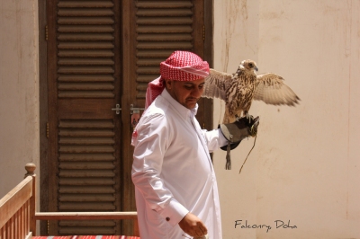 Falconry, Doha, Qatar. (Jan Smith)  [flickr.com]  CC BY 
Informazioni sulla licenza disponibili sotto 'Prova delle fonti di immagine'