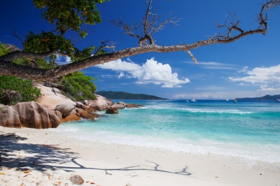 Grande Soeur, a small island  near La Digue, Seychelles (Jean-Marie Hullot)  [flickr.com]  CC BY 
Informazioni sulla licenza disponibili sotto 'Prova delle fonti di immagine'