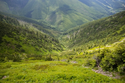 Green valley in Krkonose (Roman Boed)  [flickr.com]  CC BY 
Informazioni sulla licenza disponibili sotto 'Prova delle fonti di immagine'