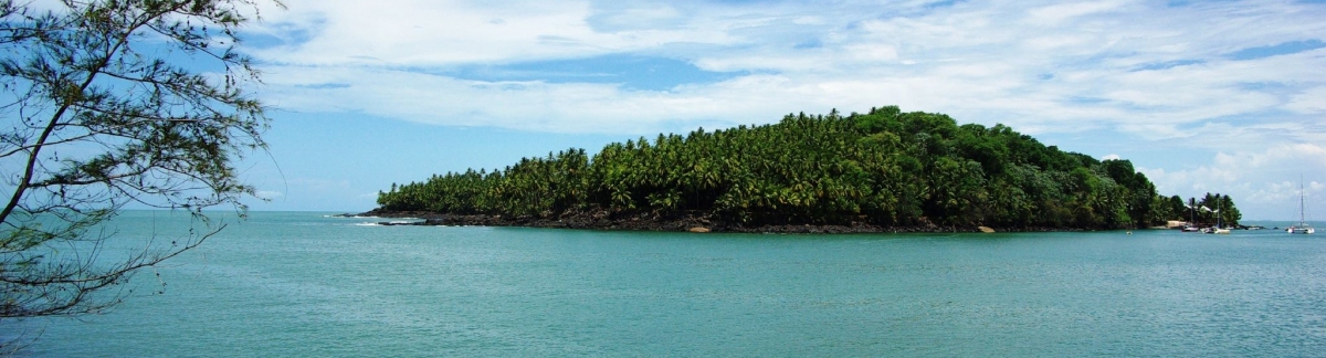 Ile du diable (Antoine Hubert)  [flickr.com]  CC BY-ND 
Informazioni sulla licenza disponibili sotto 'Prova delle fonti di immagine'