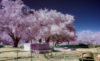 infrared windmill (greg westfall)  [flickr.com]  CC BY 
Informazioni sulla licenza disponibili sotto 'Prova delle fonti di immagine'