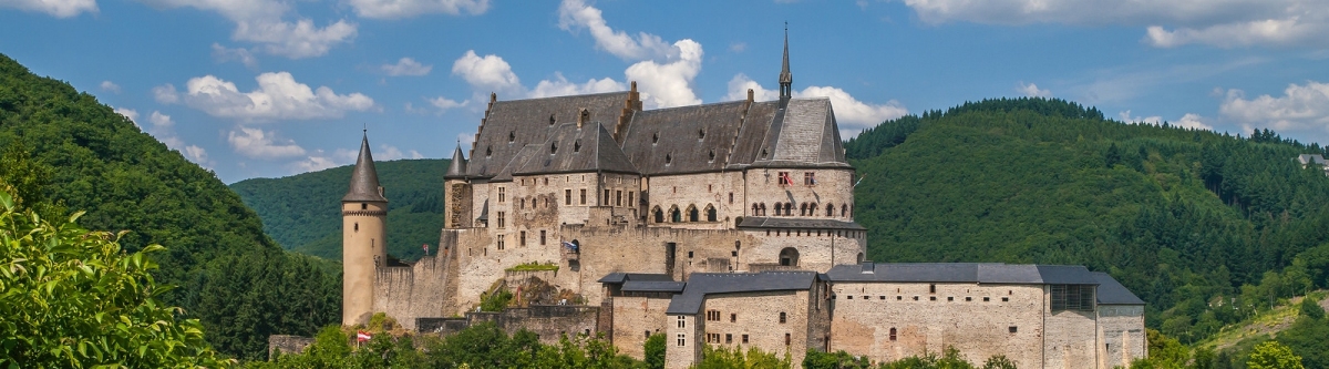 Kasteel Vianden - Vianden - Diekirch - Luxemburg (Frans Berkelaar)  [flickr.com]  CC BY-SA 
Informazioni sulla licenza disponibili sotto 'Prova delle fonti di immagine'