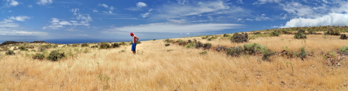 La Gomera (Lydia Steinmassl)  [flickr.com]  CC BY 
Informazioni sulla licenza disponibili sotto 'Prova delle fonti di immagine'