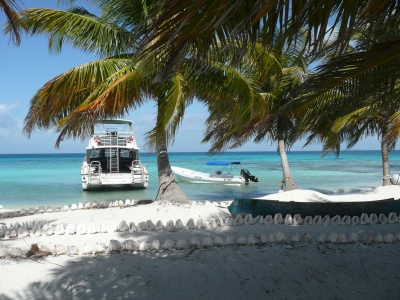 Laughing Bird Caye, Belize (Chuck Taylor)  [flickr.com]  CC BY-ND 
Informazioni sulla licenza disponibili sotto 'Prova delle fonti di immagine'