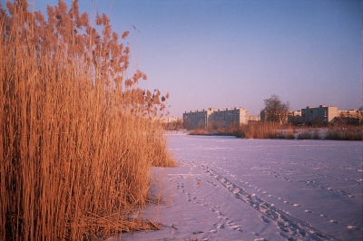 Lomo Landscape (Ilya)  [flickr.com]  CC BY-SA 
Informazioni sulla licenza disponibili sotto 'Prova delle fonti di immagine'