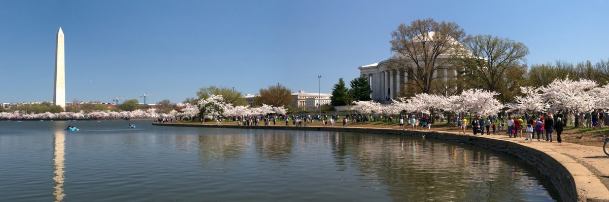 Monuments and Blossoms (Karen Blaha)  [flickr.com]  CC BY-SA 
Informazioni sulla licenza disponibili sotto 'Prova delle fonti di immagine'