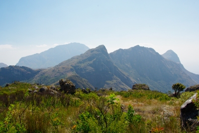 Mulanje 4 (Martin Lopatka)  [flickr.com]  CC BY-SA 
Informazioni sulla licenza disponibili sotto 'Prova delle fonti di immagine'