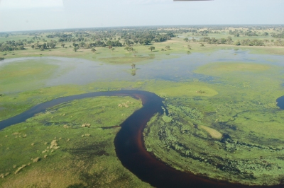 Okavango Delta, Botswana (Joachim Huber)  [flickr.com]  CC BY-SA 
Informazioni sulla licenza disponibili sotto 'Prova delle fonti di immagine'