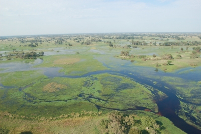 Okavango Delta, Botswana (Joachim Huber)  [flickr.com]  CC BY-SA 
Informazioni sulla licenza disponibili sotto 'Prova delle fonti di immagine'