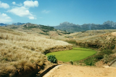 Rice fields and mountains (Leonora Enking)  [flickr.com]  CC BY-SA 
Informazioni sulla licenza disponibili sotto 'Prova delle fonti di immagine'