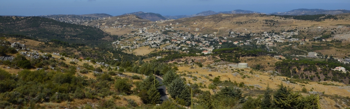 The Chouf Reserve, Lebanon (objectivised)  [flickr.com]  CC BY 
Informazioni sulla licenza disponibili sotto 'Prova delle fonti di immagine'