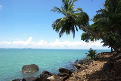 The shore and the coconut trees (Antoine Hubert)  [flickr.com]  CC BY-ND 
Informazioni sulla licenza disponibili sotto 'Prova delle fonti di immagine'