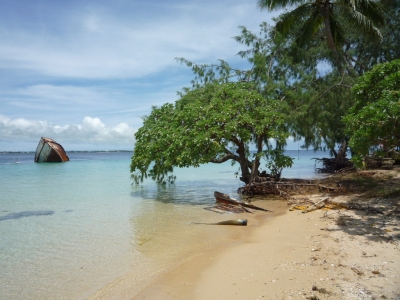 Tonga/Samoa Feb 2009 (Sarah Kelemen Garber)  [flickr.com]  CC BY 
Informazioni sulla licenza disponibili sotto 'Prova delle fonti di immagine'