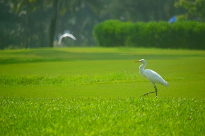 Informazioni sulla climatizzazione Goa