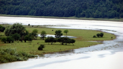 Zbrucz River (Leszek Kozlowski)  [flickr.com]  CC BY 
Informazioni sulla licenza disponibili sotto 'Prova delle fonti di immagine'